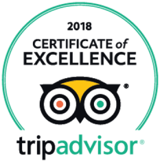 a close up of a logo